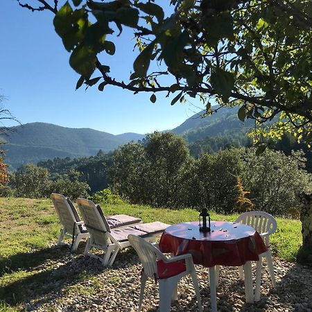 Chambre D'Hote Lavande - Le Soleil Des Cevennes 圣让杜加尔 外观 照片