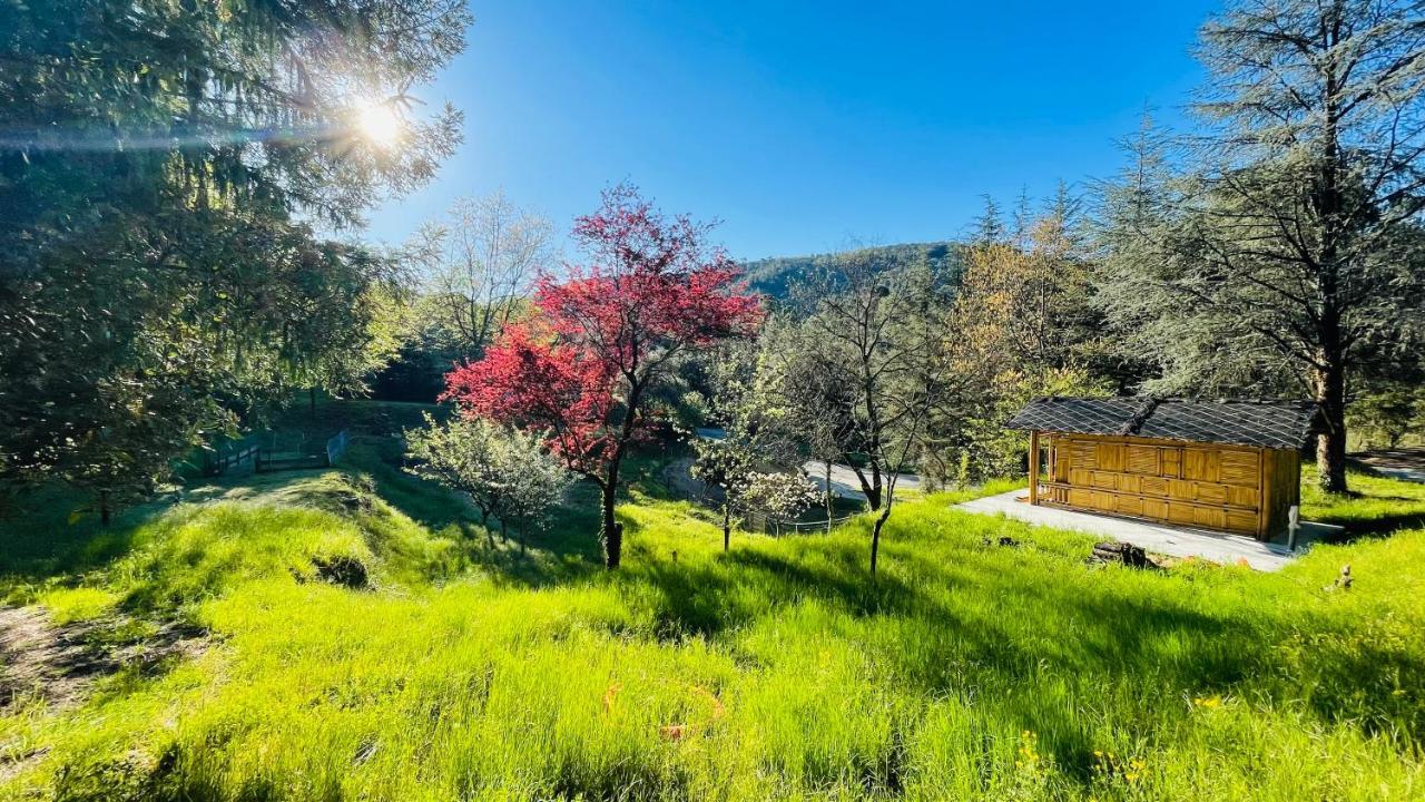 Chambre D'Hote Lavande - Le Soleil Des Cevennes 圣让杜加尔 外观 照片