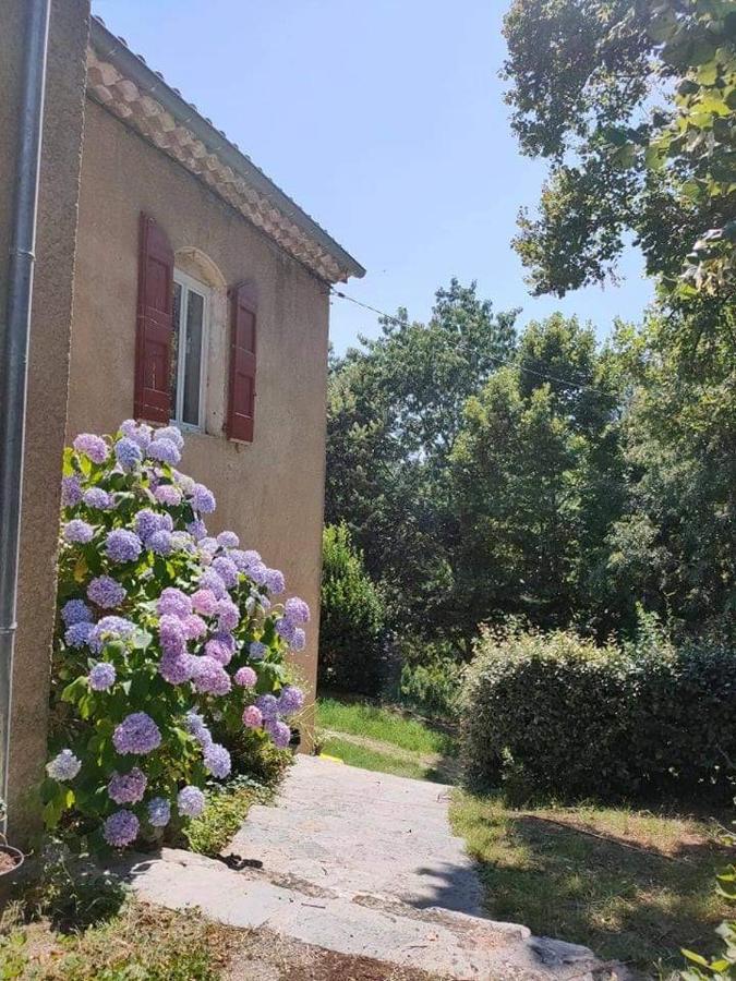 Chambre D'Hote Lavande - Le Soleil Des Cevennes 圣让杜加尔 外观 照片