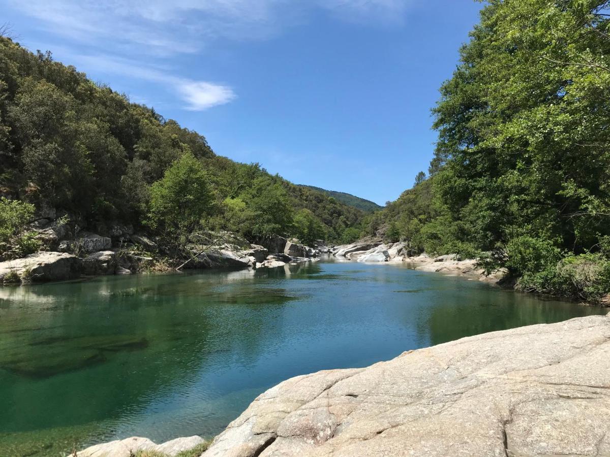 Chambre D'Hote Lavande - Le Soleil Des Cevennes 圣让杜加尔 外观 照片