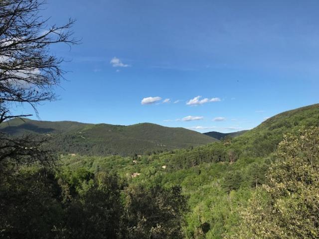 Chambre D'Hote Lavande - Le Soleil Des Cevennes 圣让杜加尔 外观 照片