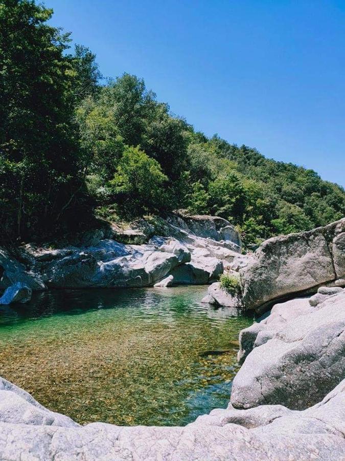 Chambre D'Hote Lavande - Le Soleil Des Cevennes 圣让杜加尔 外观 照片